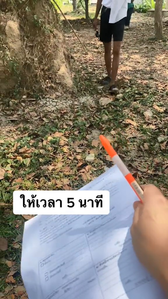 ตกปลากแก้ มส